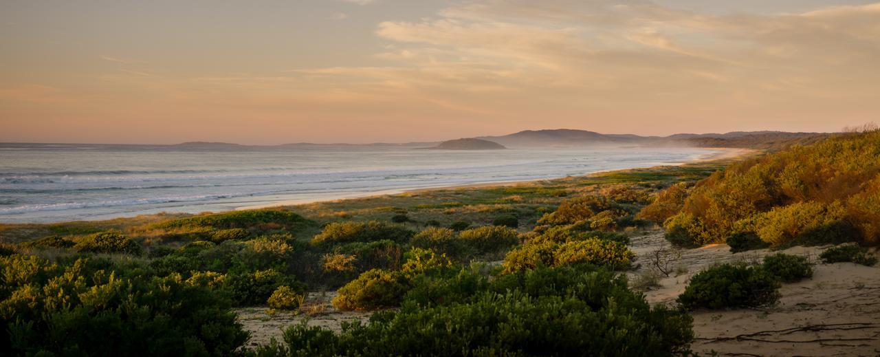 Wairo Beach Holiday Park Tabourie Lake Екстериор снимка